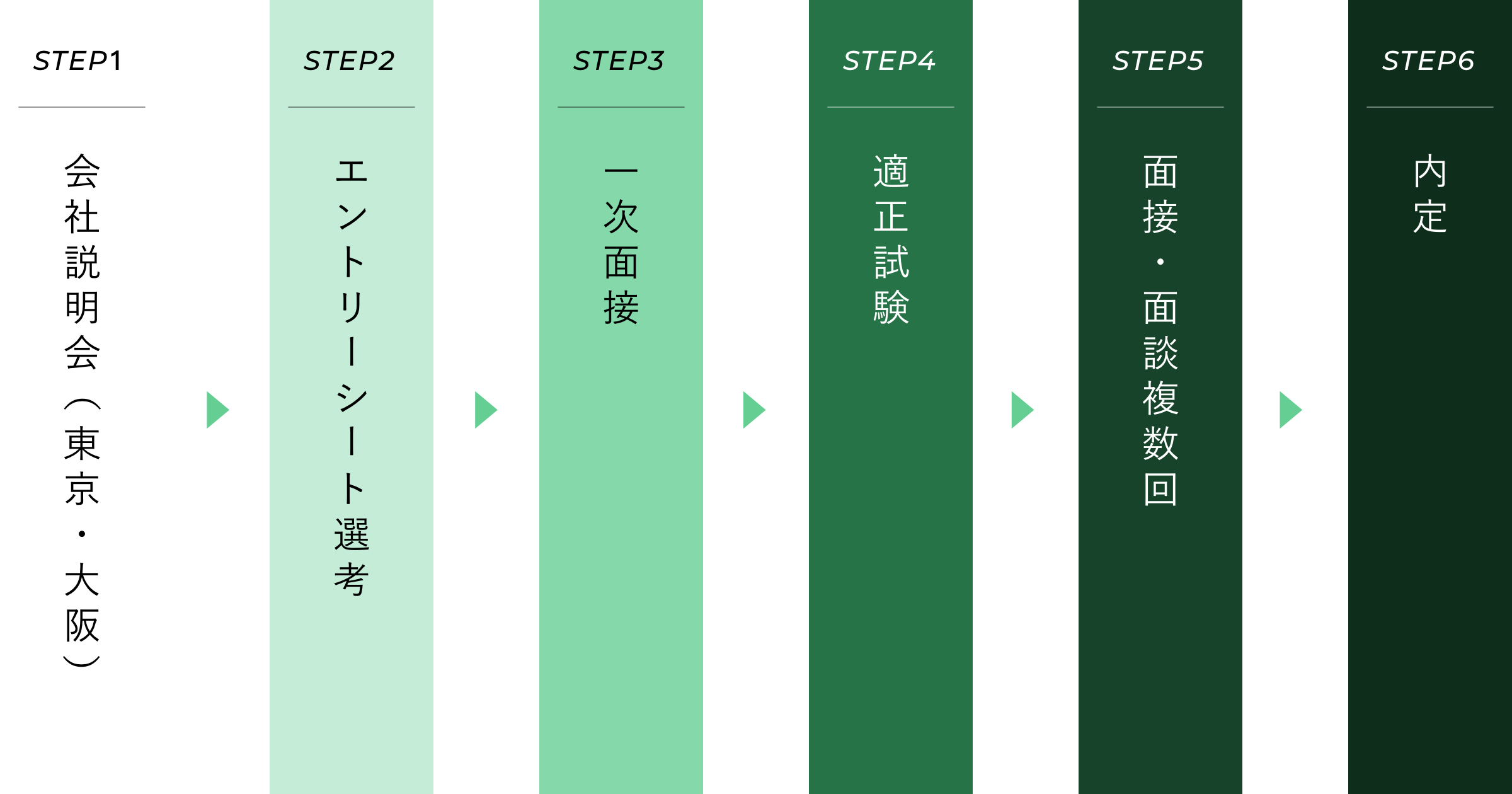 STEP1：会社説明会（東京・大阪） → STEP2：エントリーシート選考 → STEP3：一次面接 → STEP4：適正試験 → STEP5：面接・面談複数回 → STEP6：内定