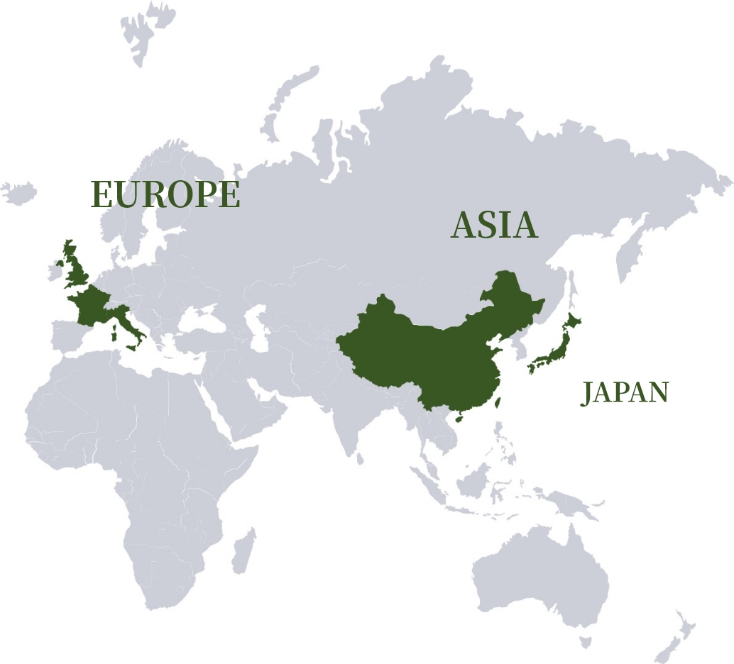 世界地図